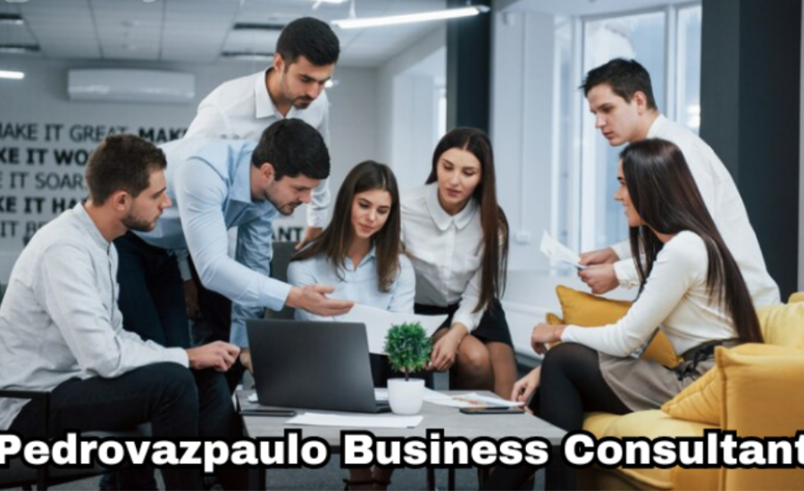 pedrovazpaulo business consultant