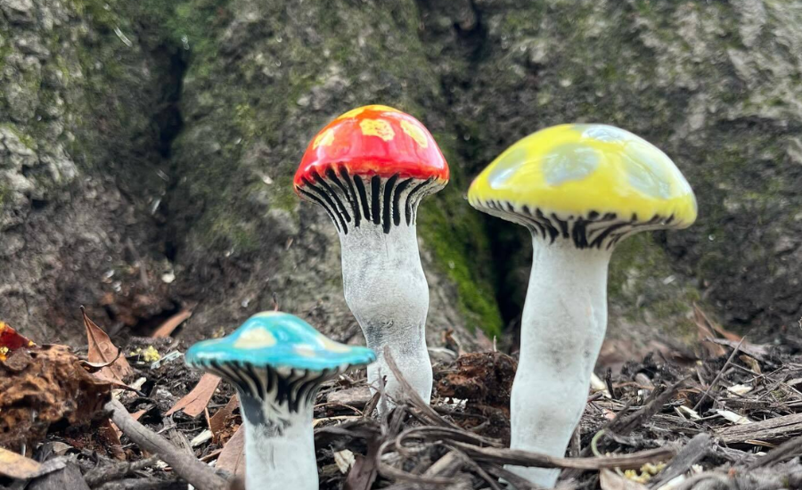 game of shrooms jesup ga