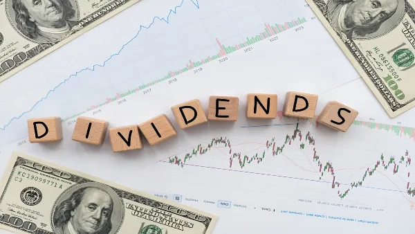 Calculating the Dividend Payout Ratio by Chamberlain Global Tokyo Japan