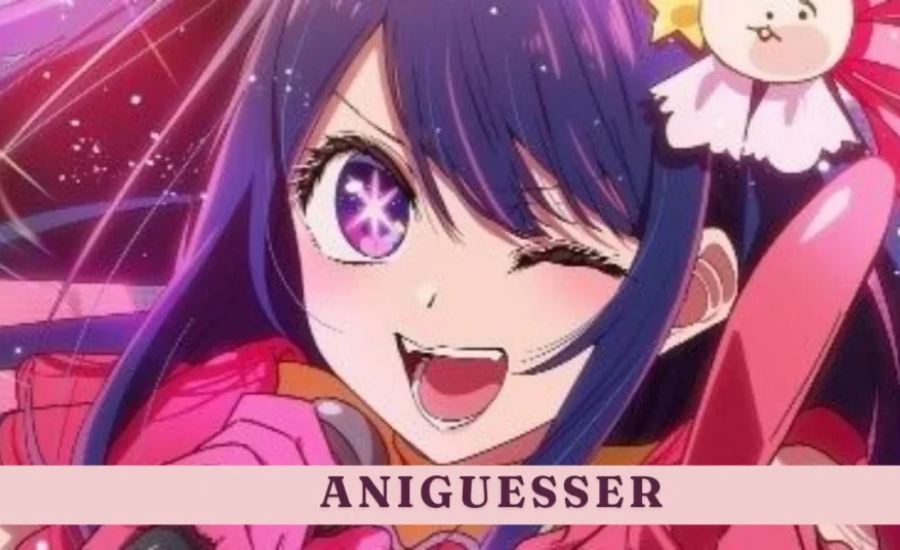 Key Features Of Aniguesser