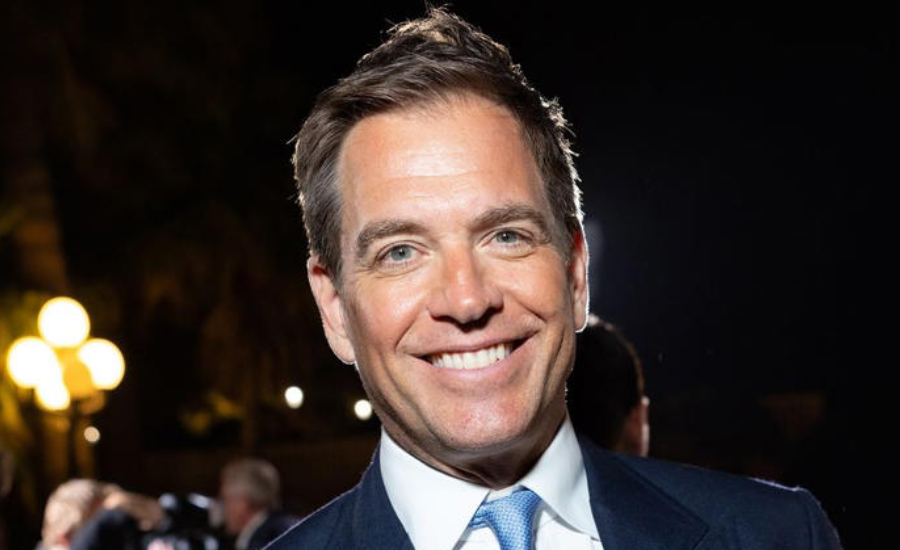 Michael Weatherly Career Highlights